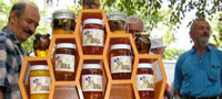 Смотра пчеларства у Лазаревцу
