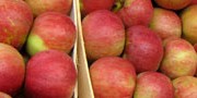 Србија увезла више од 25.000 тона јабука