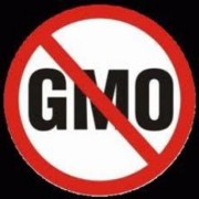 Банаћани против ГМО хране