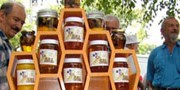 Смотра пчеларства у Лазаревцу