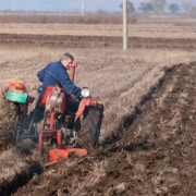 Пољопривреда – пасторче Србије:  СВИ БИ ДА – ОРУ!